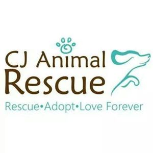 CJ Animal Rescue (Perth) Logo