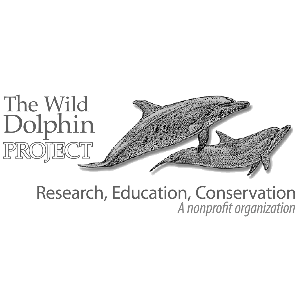 Wild Dolphin Project Logo