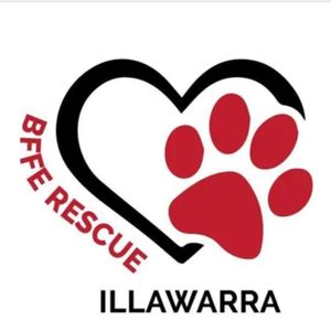 Best friends for ever rescue Illawarra Logo