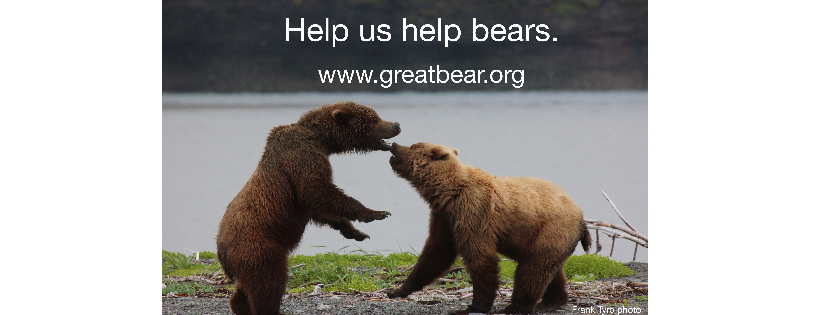 Great Bear Foundation of Montana