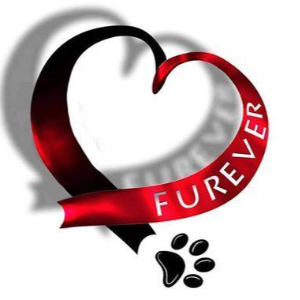 Furever Homes Logo