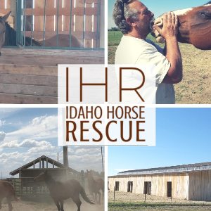 Horse Rescue Idaho, Inc (d/b/a Idaho Horse Rescue)