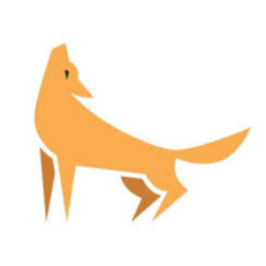 FOOTLOOSE MONTANA Logo