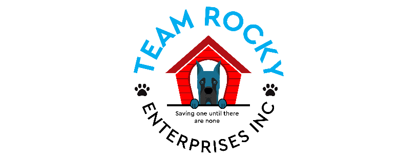 Team Rocky Enterprises Inc (SRGDRR)