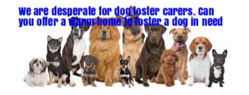 ROXIES RESCUE
