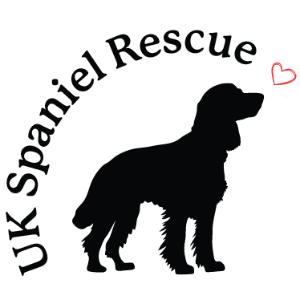UK Spaniel Rescue
