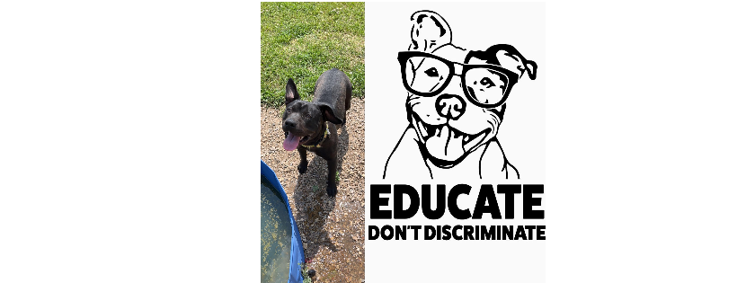 North East SPCA