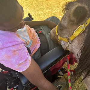 Riding for the Disabled Alice Springs