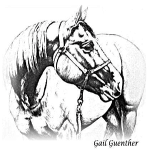 Crane Mountain Valley Horse Rescue inc Logo