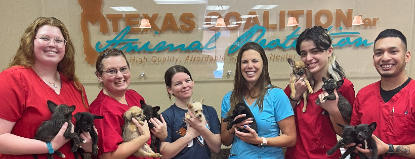 Texas Coalition for Animal Protection