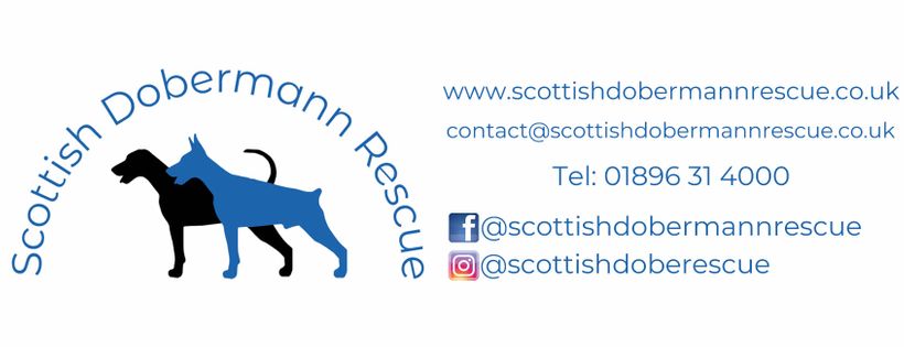 Scottish Dobermann Rescue SCIO