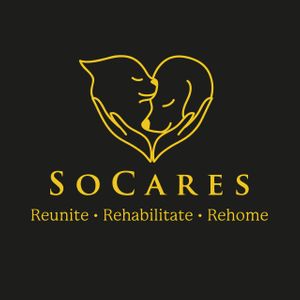SoCares - Charmhaven Animal Care Facility