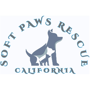 Soft Paws Rescue