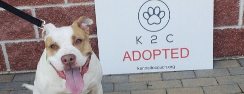 Kennel to Couch INC
