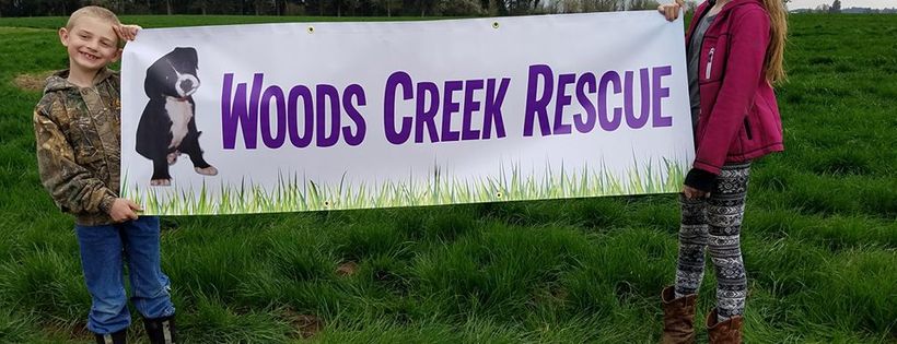 Woods Creek Rescue