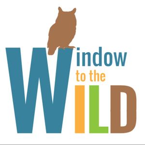 Window to the Wild Logo