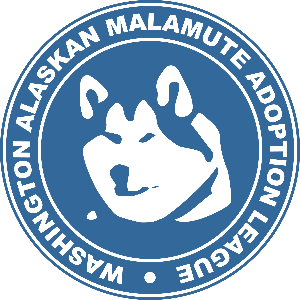 Washington Alaskan Malamute Adoption League