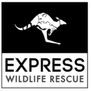 Express wildlife rescue & rehab inc