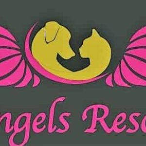 angels rescue Logo