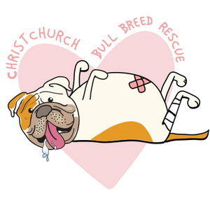 Christchurch Bull Breed Rescue Logo