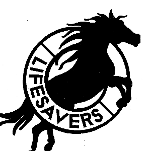 Lifesavers Inc Logo