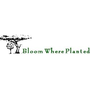 Bloom Where Planted