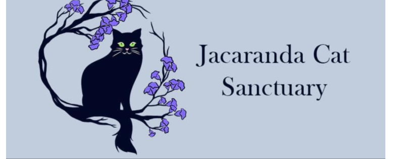 Jacaranda cat sanctuary ltd