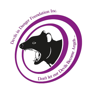 Devils In Danger Foundation Logo