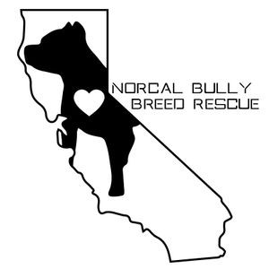 NorCal Bully Breed Rescue Logo