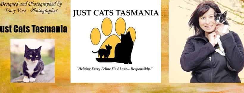 Just Cats Tasmania