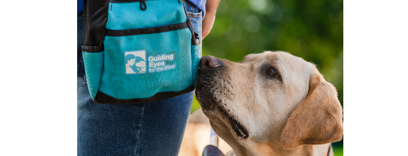 Guiding Eyes for the Blind