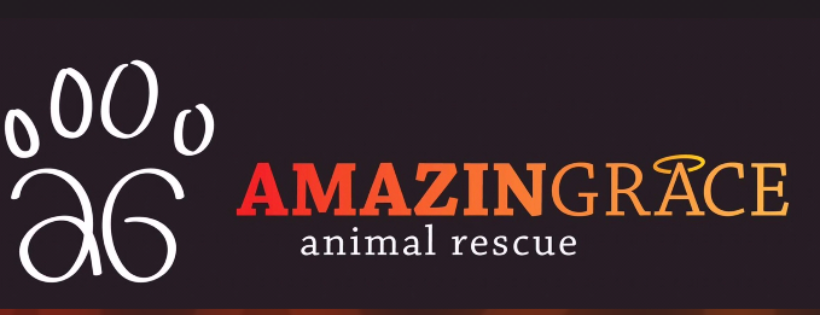 Amazing Grace Animal Rescue