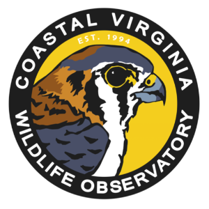 Coastal Virginia Wildlife Observatory