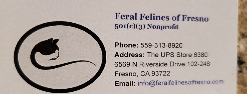 Feral Felines of Fresno