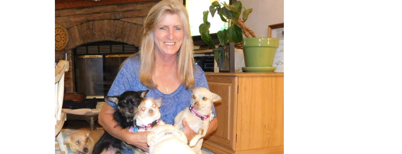 Central Arizona Animal Search and Rescue