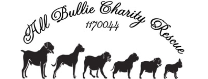 All Bullie charity rescue