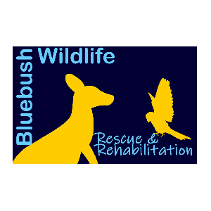 Bluebush Wildlife Rescue and Rehabilitation Inc Logo
