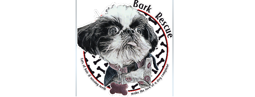 Bark n ride rescue & relocation team