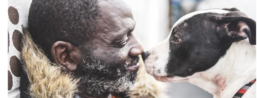 Downtown Dog Rescue