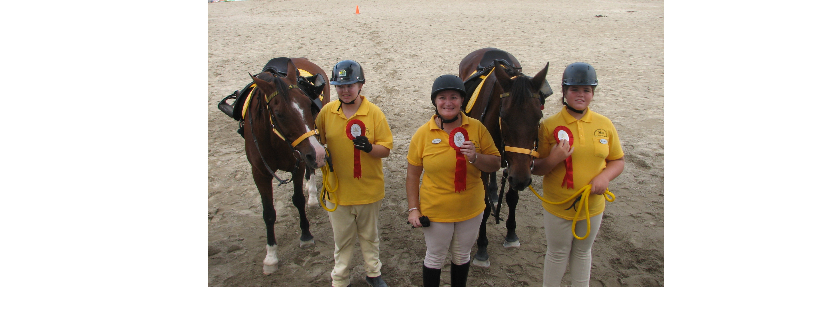 Riding for the Disabled Association NSW