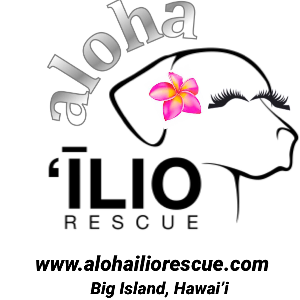 Aloha Ilio Rescue Logo