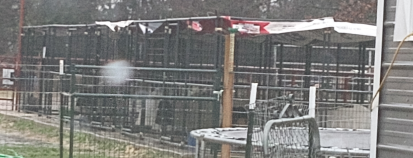 The Gathering Place Animal Rescue Sanctuary and Ministry