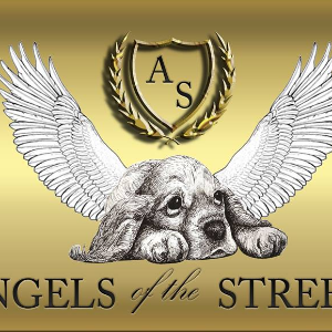 Angels of the streets Logo