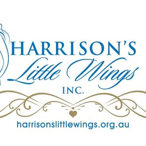 Harrisons Little Wings
