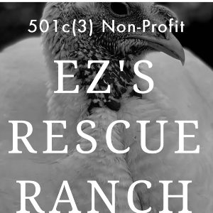 EZ S Rescue Ranch Inc