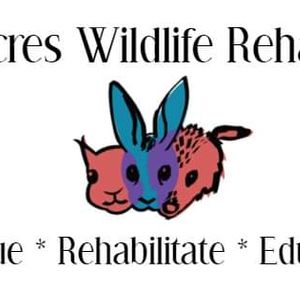 Nutmeg Acres Wildlife Rehabilitation Logo