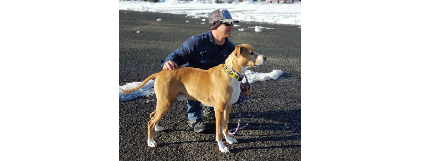 Canine Rehabilitation Center & Cat Sanctuary