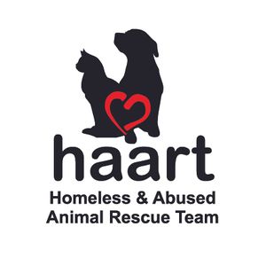 Homeless And Abused Animal Rescue Team Association Inc HAART Logo