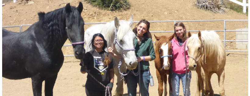 Fahnestock Ranch