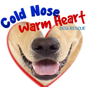 cold nose warm heart Logo